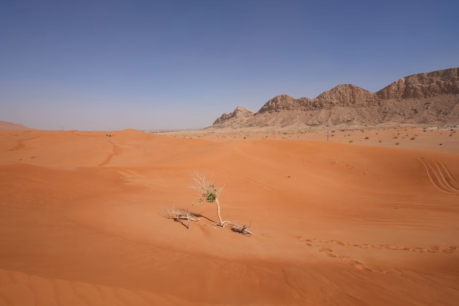 موجة الحر تضرب المناطق الشرقية: نصائح عملية للحفاظ على صحتك